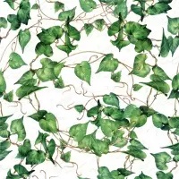 Servilleta decoupage Green Ivy branches