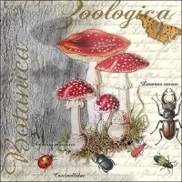 Servilleta decoupage Fly Agaric and beetle