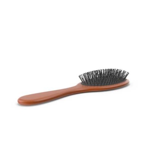 Hair Brush Basic