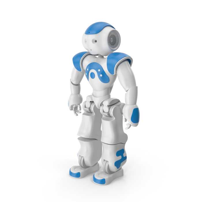 Robot