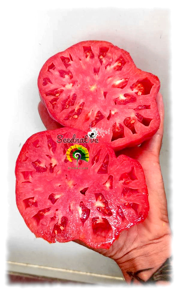 Tomate Rosa de Jaca - 20 semillas