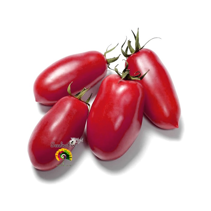 Tomate Pera Ucraniana de Yalta - 50 semillas 