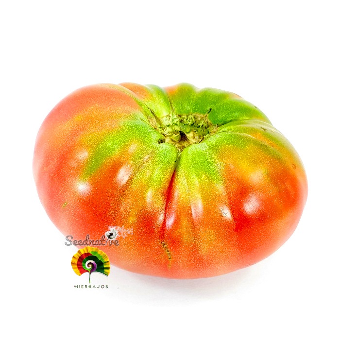 Tomate Turco - 25 semillas 