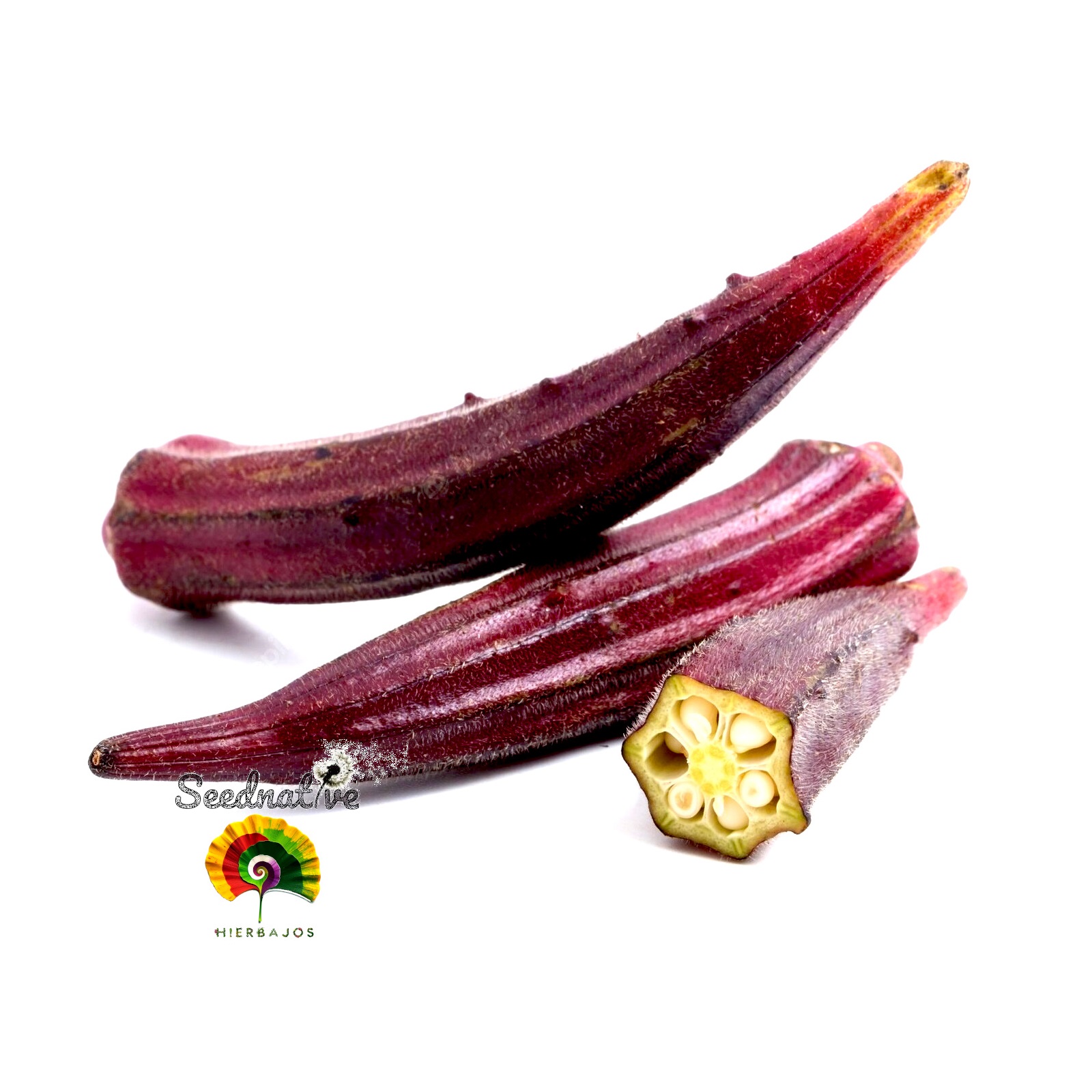 Abelmoschus esculentus - Okra Roja - 50 semillas