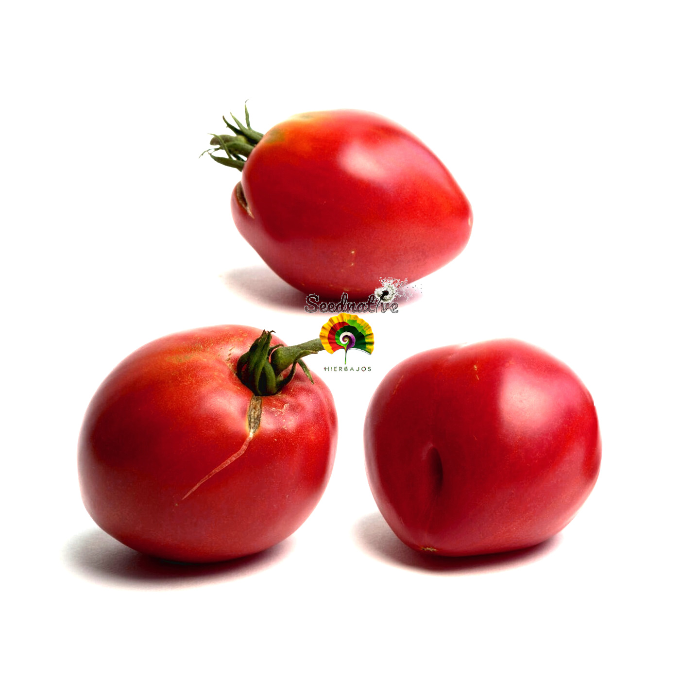 Tomate Fresa - 25 semillas 