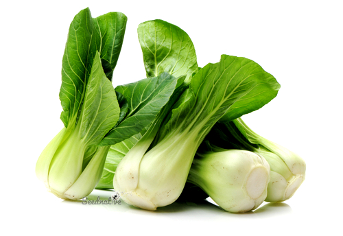 Brassica rapa chinensis - Pak choi - 1000 semillas