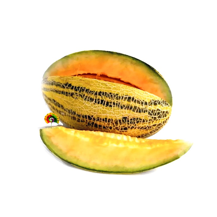 Melón Rochet - 100 semillas