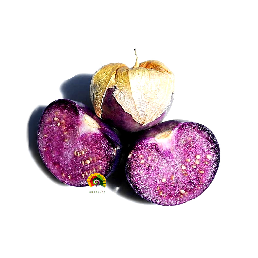 Physalis ixocarpa - Tomatillo Purpura - 250 semillas 