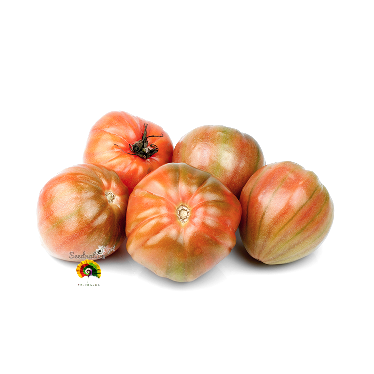 Tomate Gordal Valenciano Del Perelló - 20 semillas
