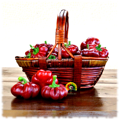 Pimiento Topepo Rosso - 100 semillas