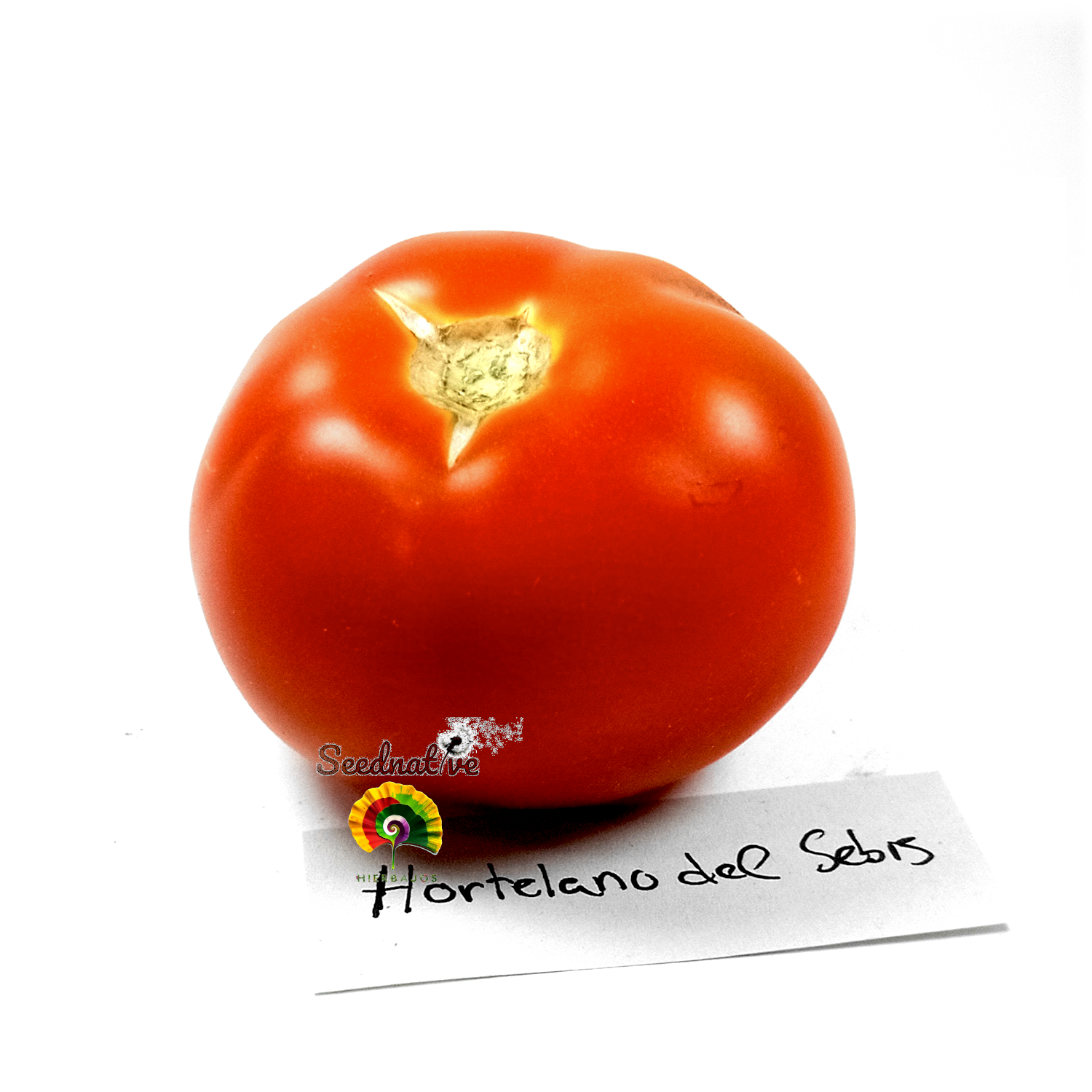 Tomate Hortelano del Sebis - 50 semillas 