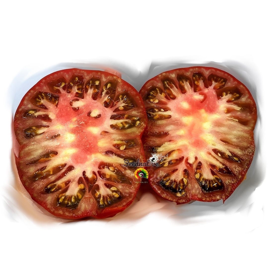 Tomate Serrano - 20 semillas 