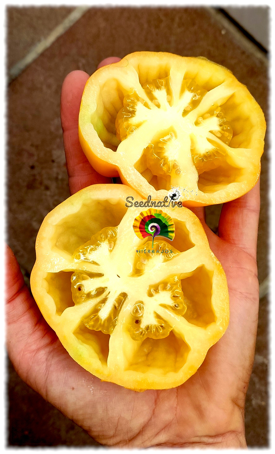 Tomate Yellow Stuffer - 15 semillas