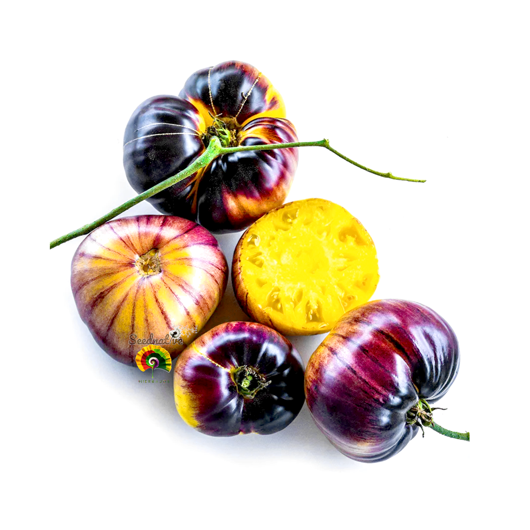 Tomate Great White Blue - 10 semillas 