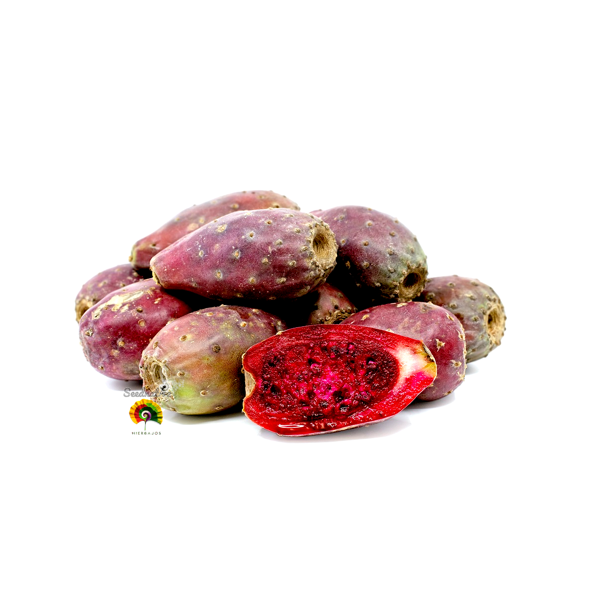 Opuntia stricta - Nopal - 25 Semillas