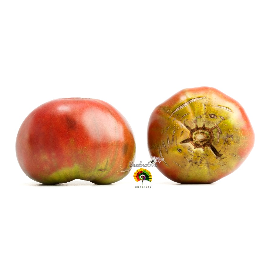Tomate Maspalomas - 20 semillas 