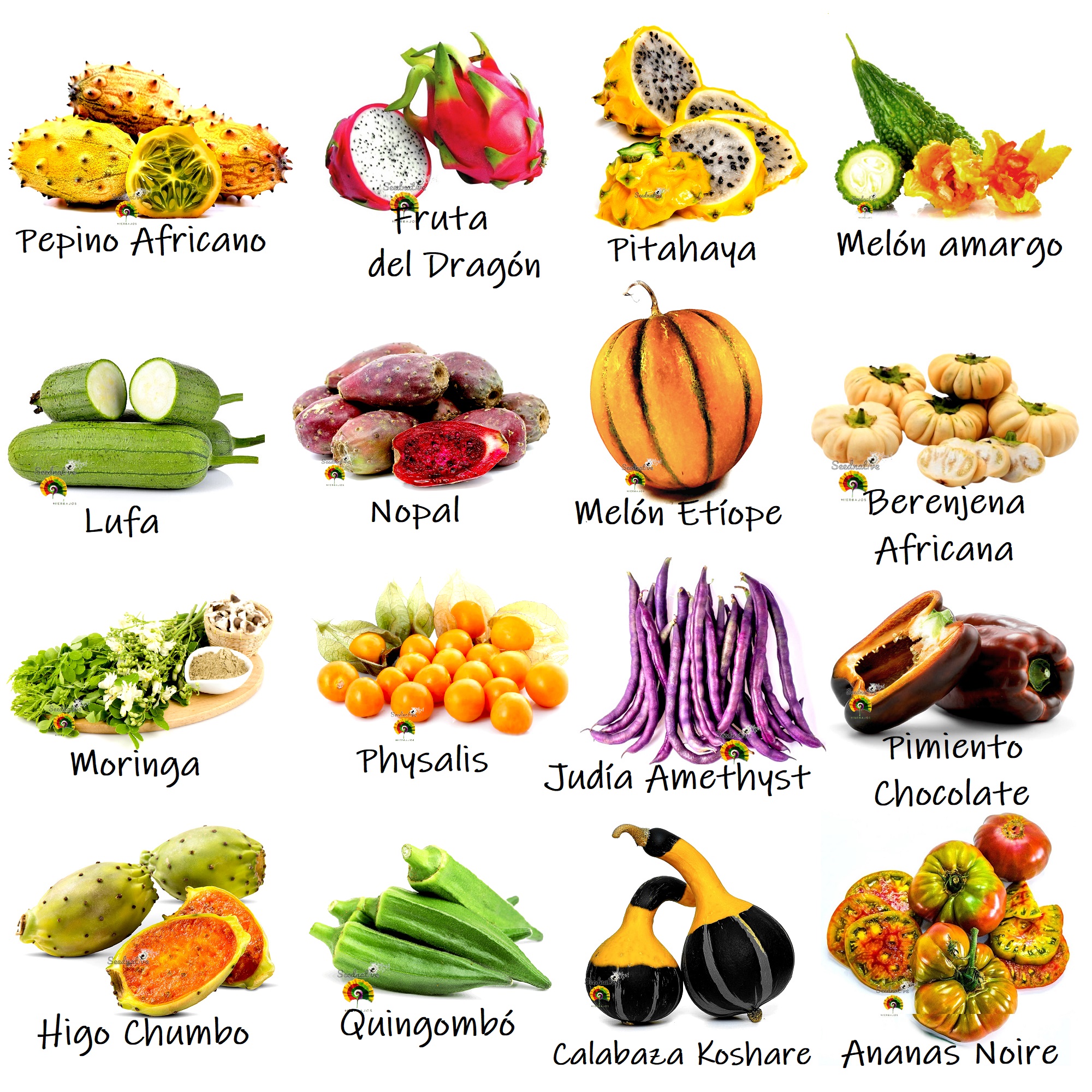 Huerta Exótica