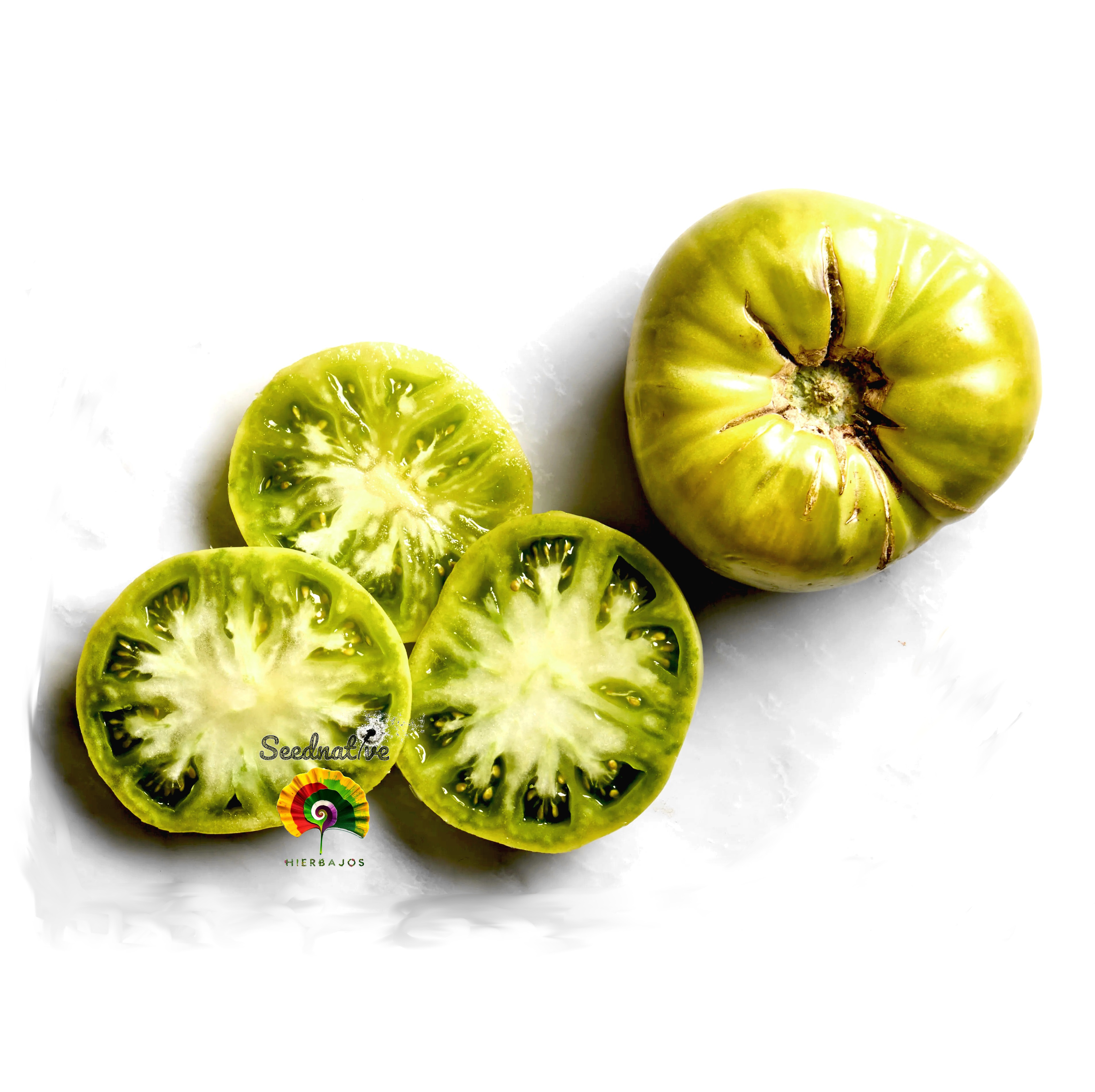 Tomate Siempreverde - 25 semillas 