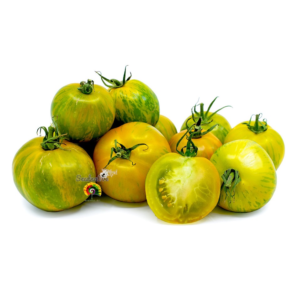 Tomate Green Zebra - 15 semillas 