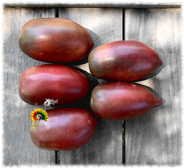 Tomate Purple Russian - 25 semillas 