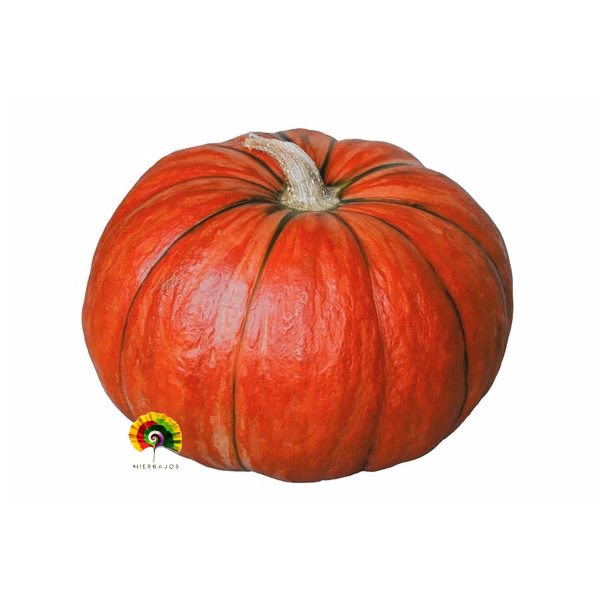 Calabaza Rouge vif d'Étampes - 15 semillas 