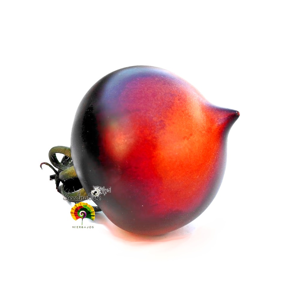 Tomate Jolie Coeur - 15 semillas 