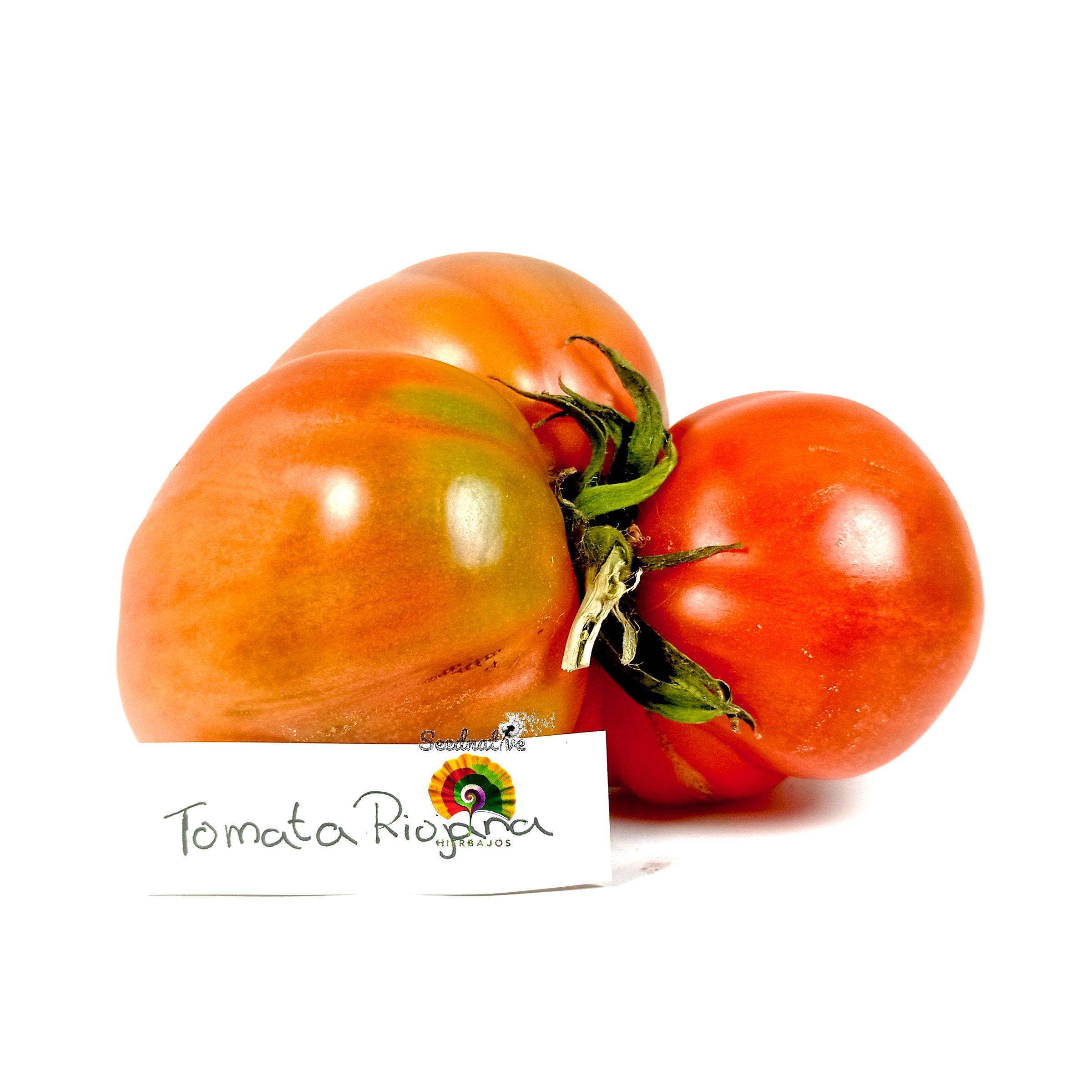 Tomate Tomata Riojana - 15 semillas
