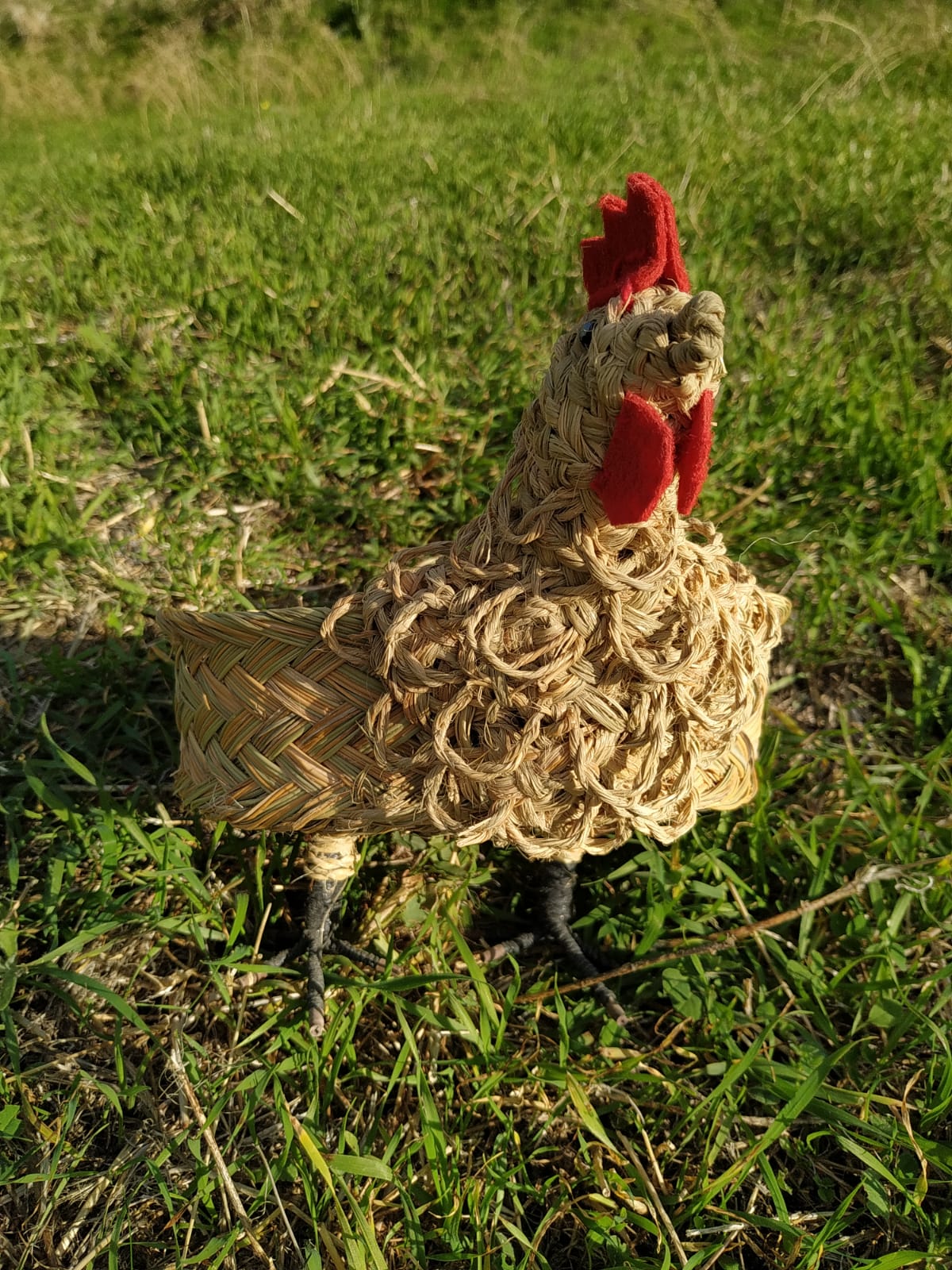 Gallina de Esparto 