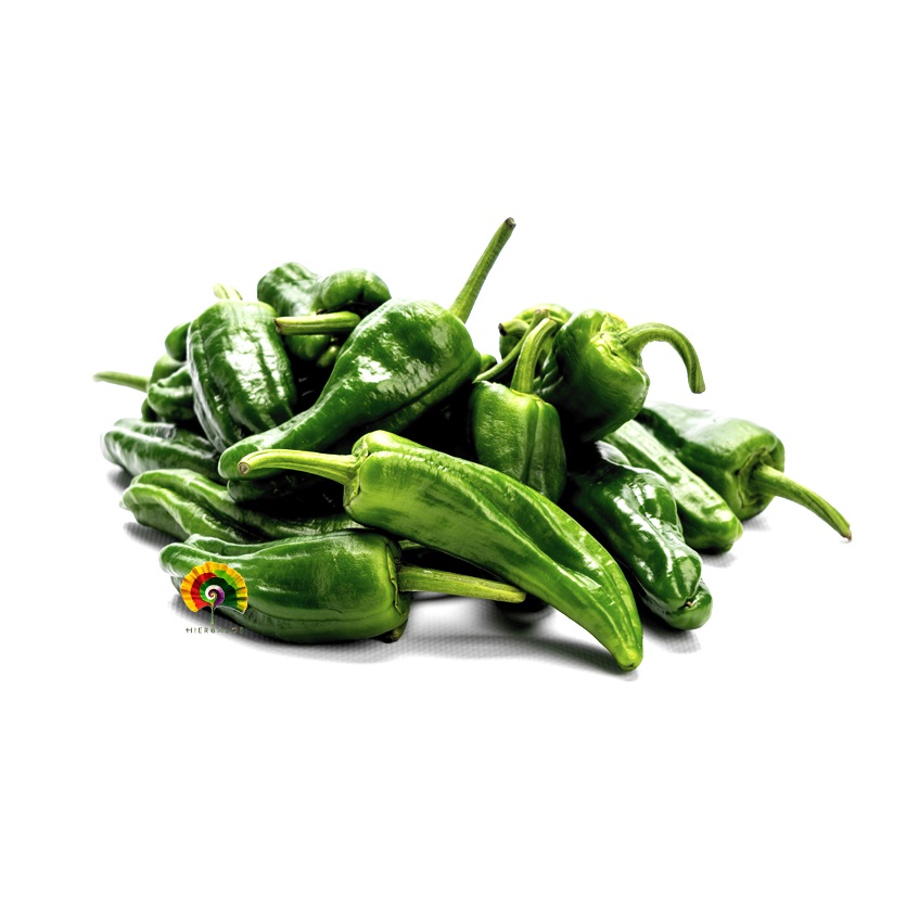 Pimiento Padrón - 150 semillas